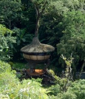 Boquete tree house arial view – Best Places In The World To Retire – International Living